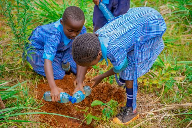 Two boys watering a newly planted seedling from plastic bottles