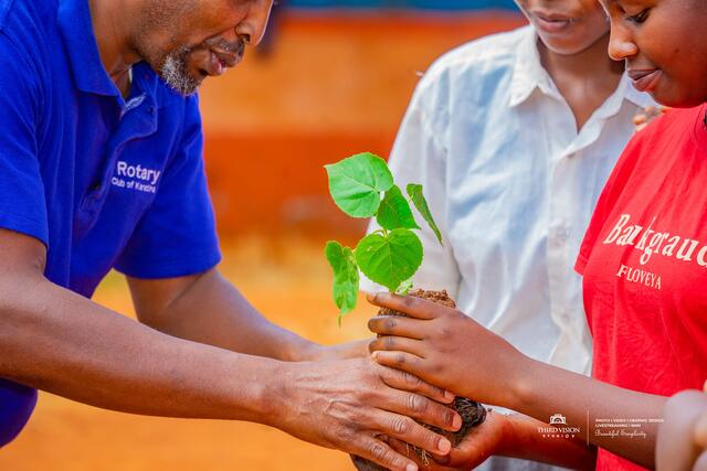 A Rotary Club of Karatina member handing tree seedlings to students